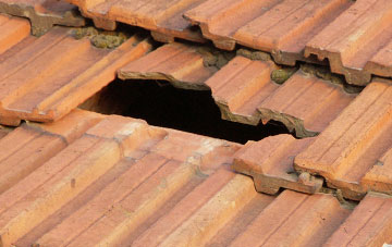 roof repair Darrow Green, Norfolk